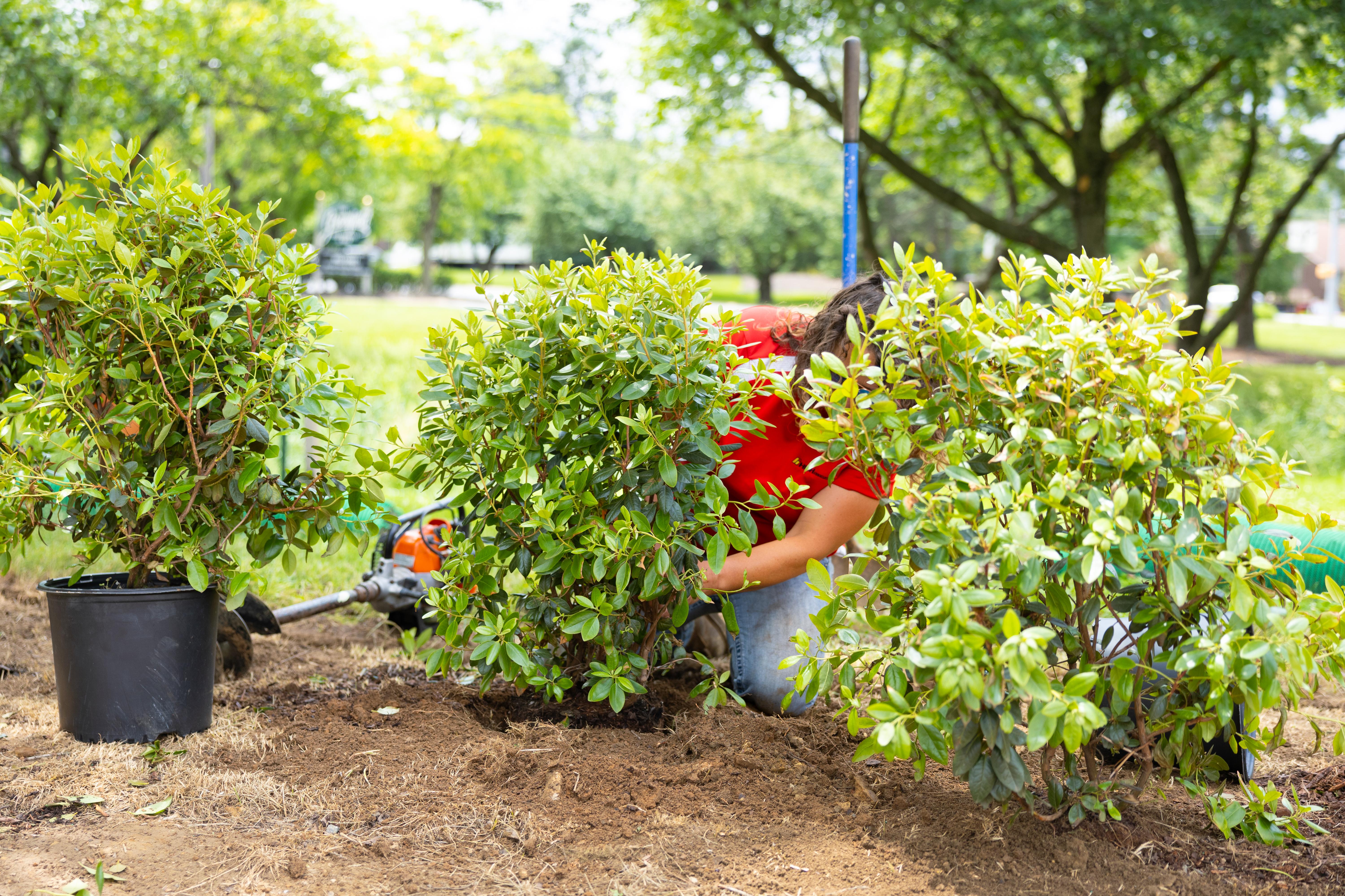 Peace Garden Landscaping-3.jpg